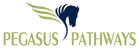 Pegasus Pathways